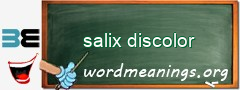 WordMeaning blackboard for salix discolor